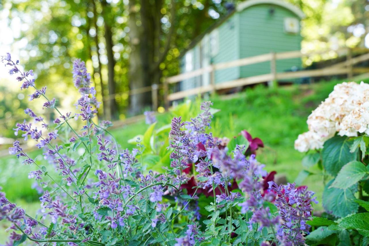 Lavender Retreat With Private Hot Tub Konuk evi Upper Hulme Dış mekan fotoğraf